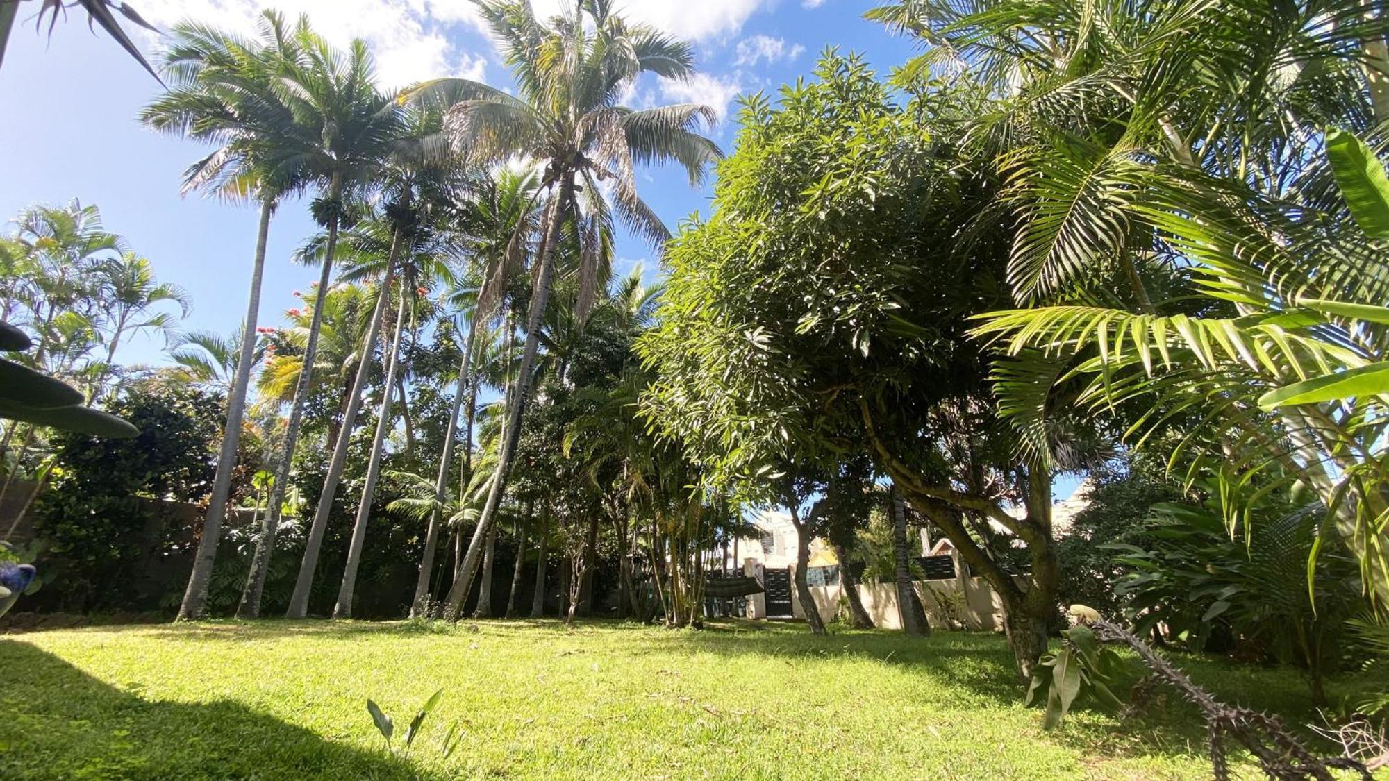 Coliver - Coliving A La Reunion Saint Pierre Exterior photo